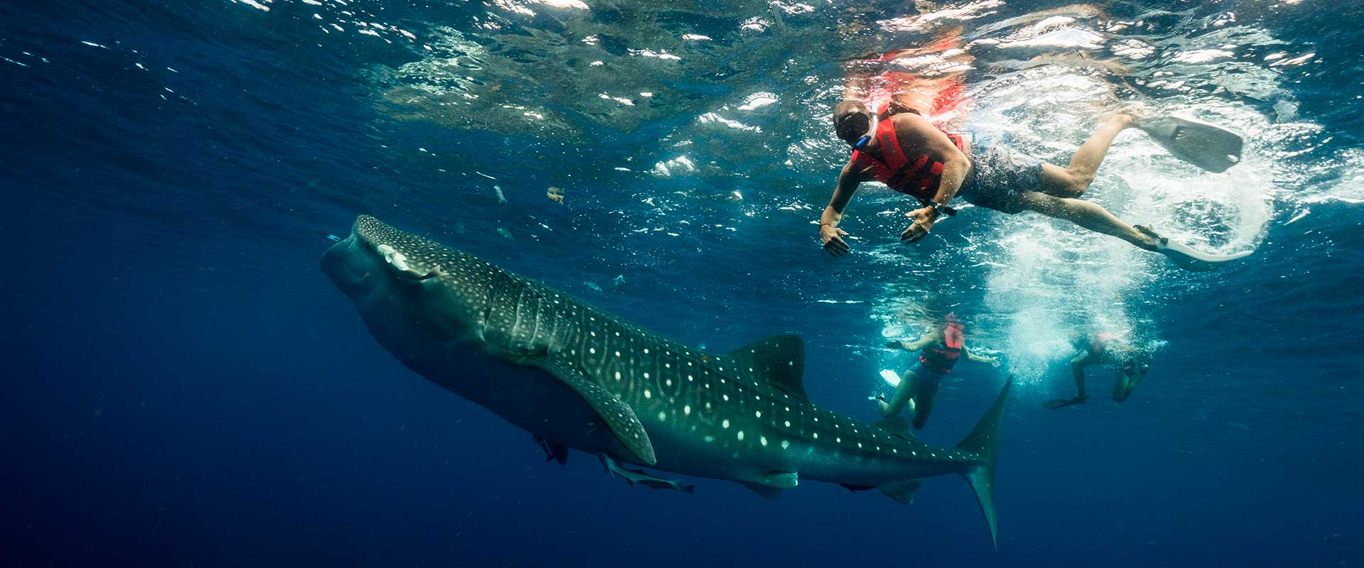 PHOTO-AND-DIVING-ADVENTURES-1920X800