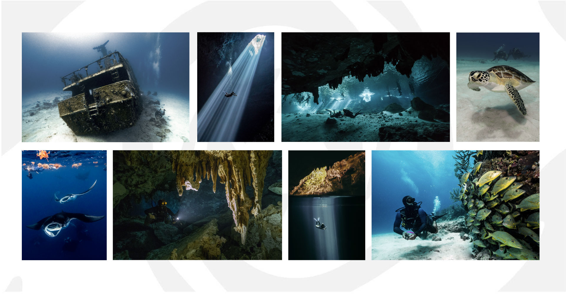 photo and diving playa del carmen