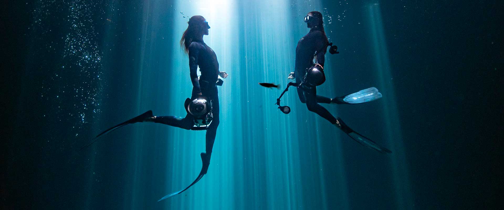 underwater photo